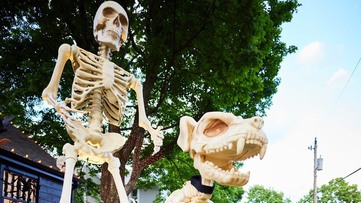 Are there cheaper versions of the $300+ Home Depot Skelly? See 5 skeleton decor alternatives