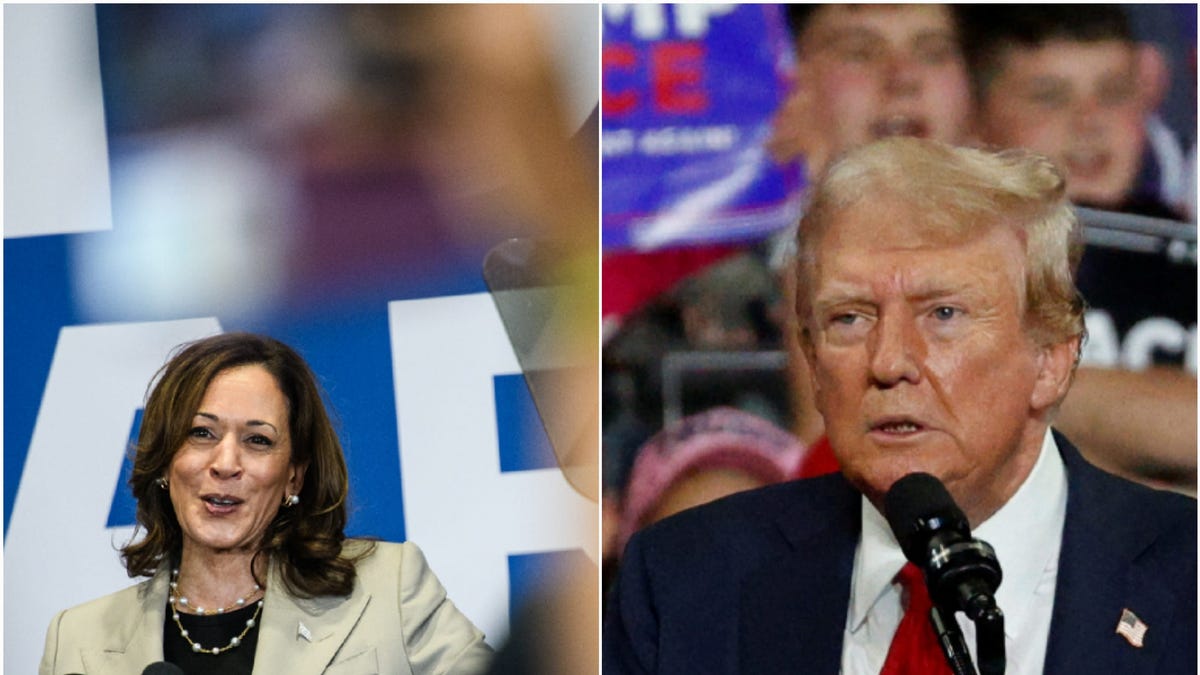 Trump is a Gemini. Harris is a Libra. And in cosmic times, 2024 voters turn to astrology