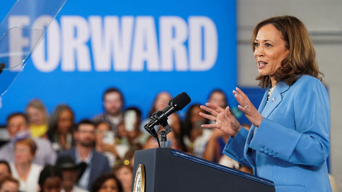 Democratic convention 2024 live updates: What to expect in Chicago – and how to watch