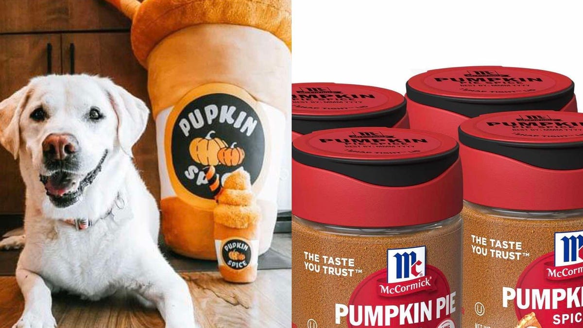 Pumpkin spice: Fall flavor permeates everything from pies to puppy treats