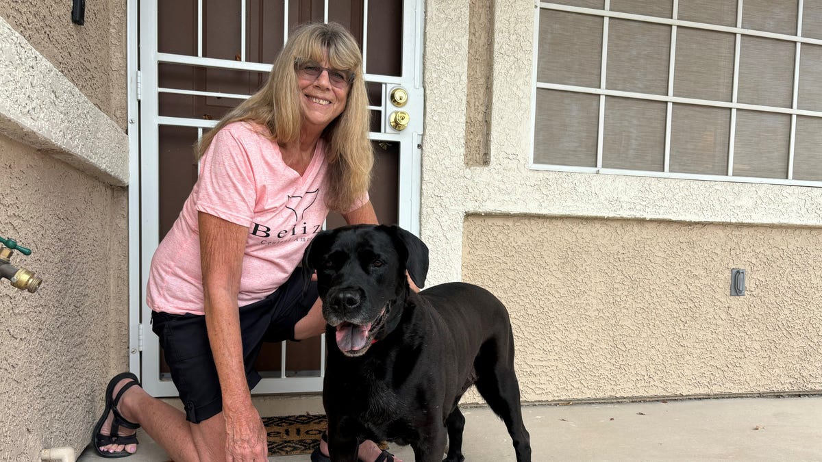 Duke, a ‘boring’ Las Vegas dog returned for napping too much, has new foster home