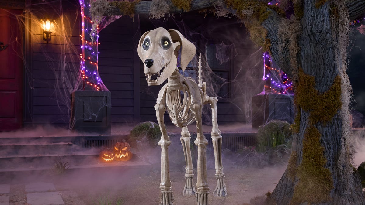 Stand at attention, Halloween fans: Home Depot’s viral 12-foot skeleton is now in stores