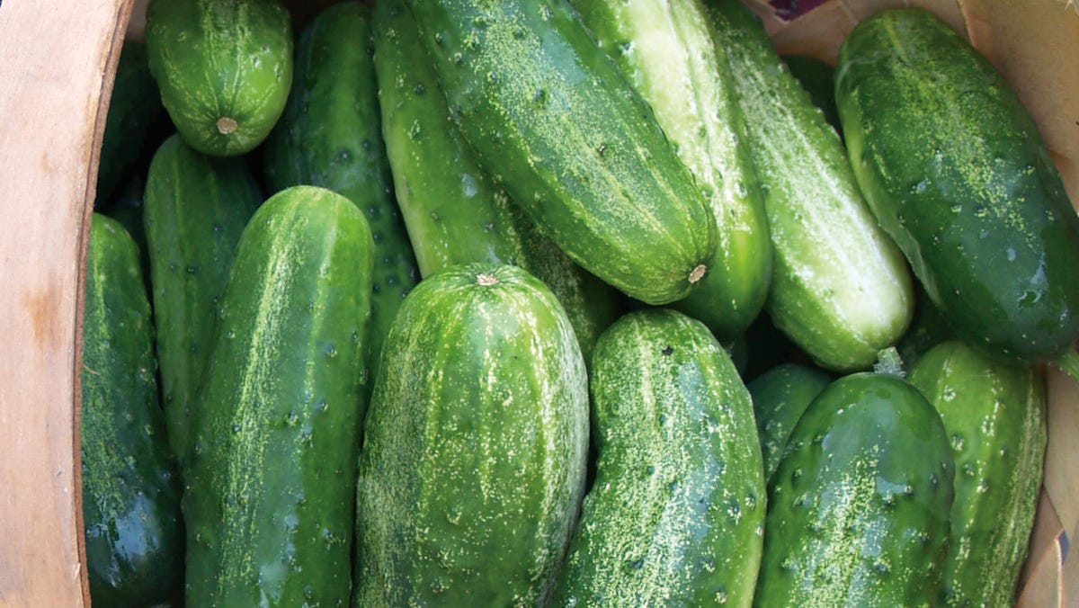 Recalled cucumbers in salmonella outbreak sickened 449 people in 31 states, CDC reports