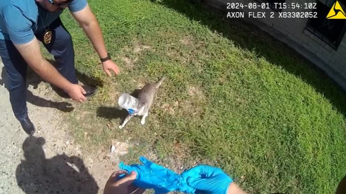 Watch as frantic Texas cat with cup stuck on its head is rescued, promptly named Jar Jar