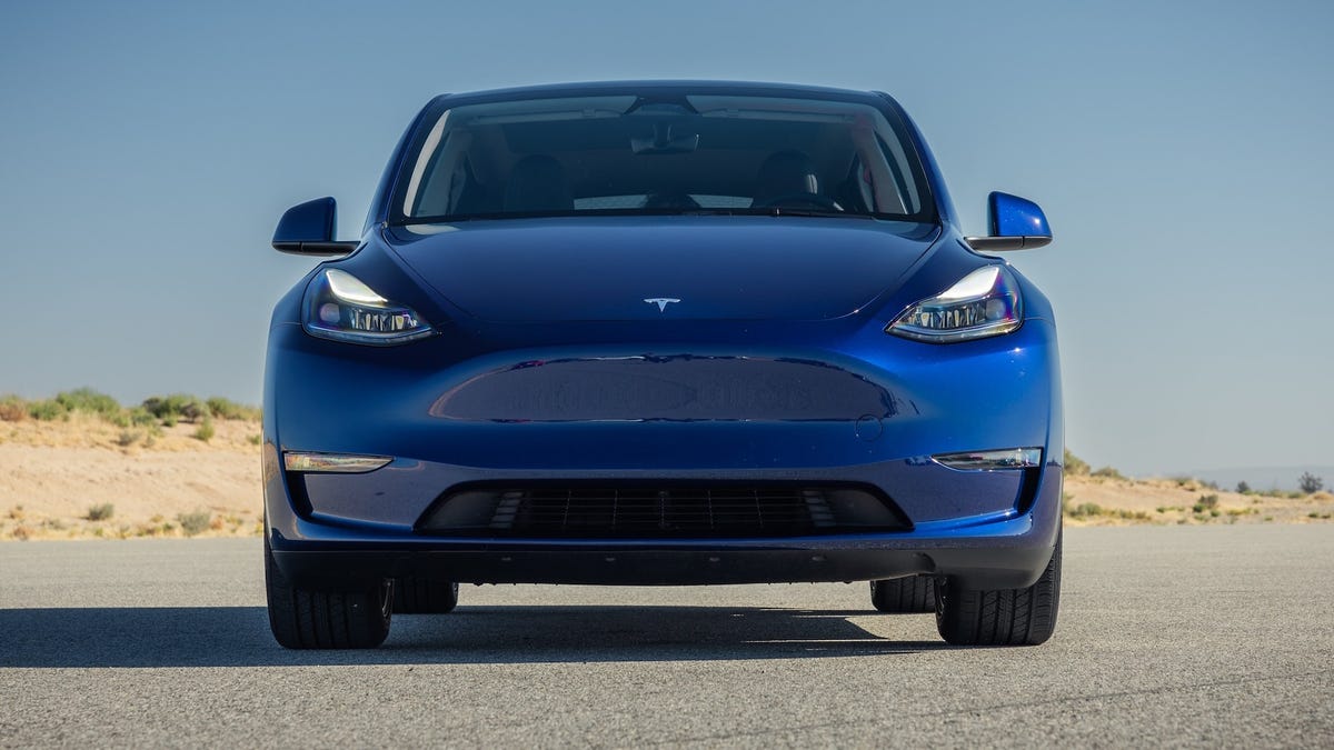 What happens when our Tesla Model Y’s cameras can’t see? Nothing good.