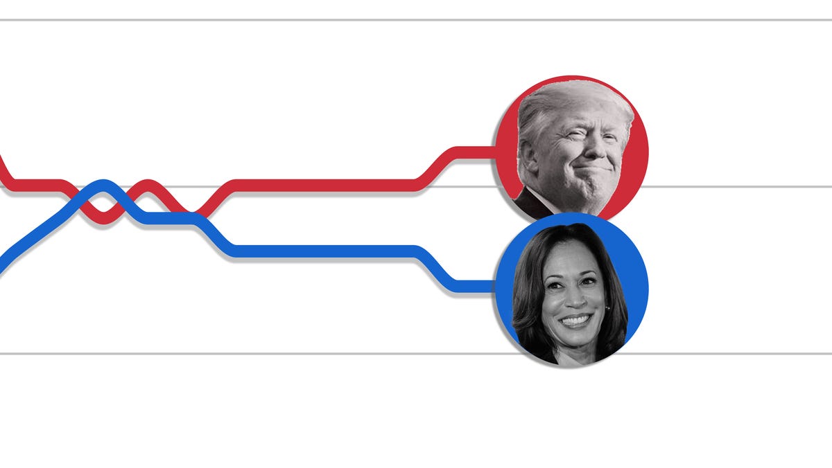 What are the odds of Trump winning the election? Bettors and polls diverge