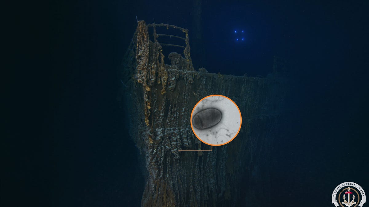 A 1.7 million-ton iceberg sank Titanic. A tiny microbe is making the ship disappear.