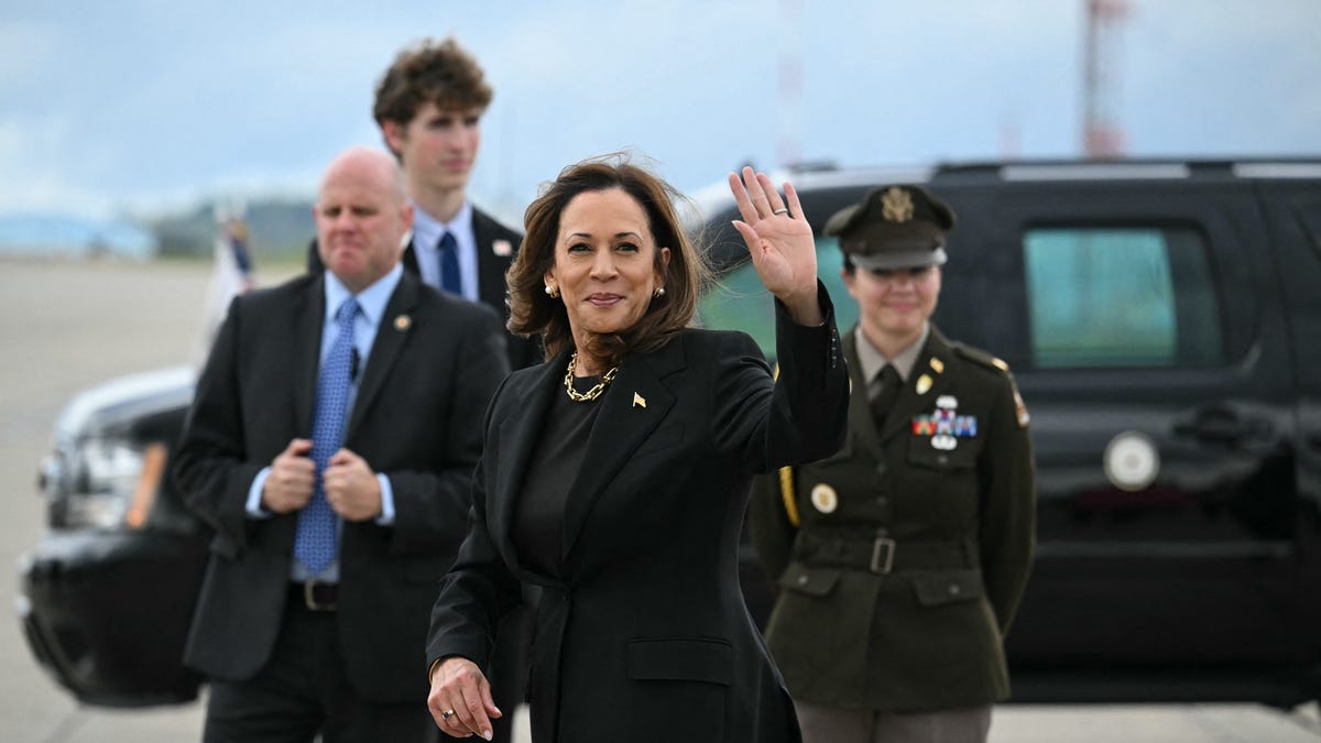 ‘I am a capitalist’: Harris promises ‘pragmatic’ economic approach