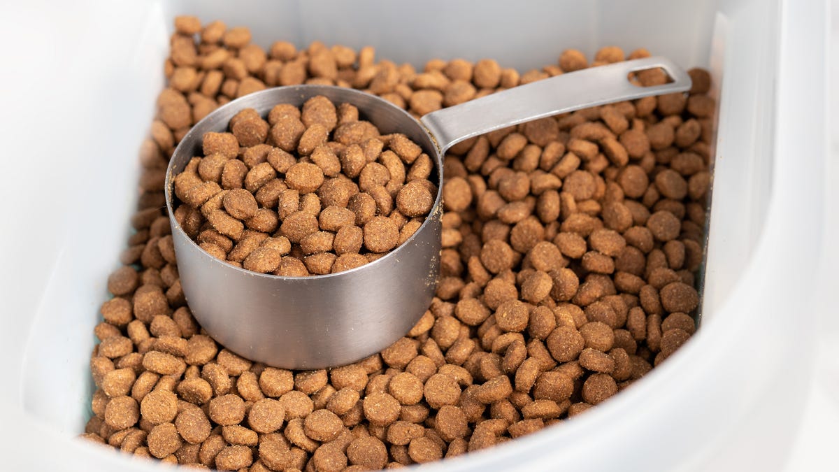 ANSWERS Pet Food recalled over salmonella, listeria concerns: What pet owners need to know