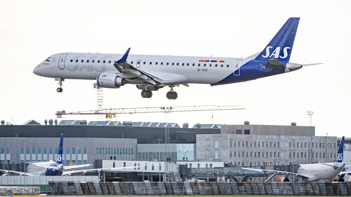 Scandinavian Airlines flight diverted after mouse climbs out of passenger’s meal