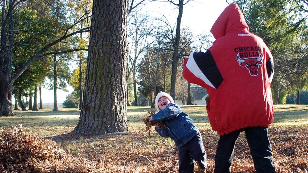 You may want to think twice before letting your dog jump in leaves this fall