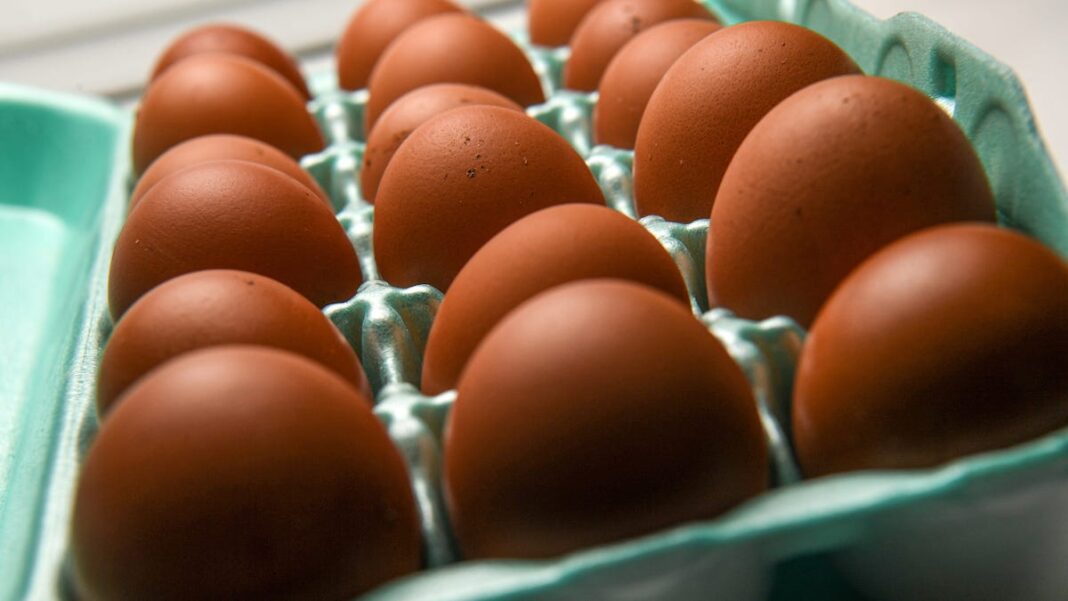 FDA upgrades recall of eggs linked to salmonella to ‘serious’ health risks or ‘death’