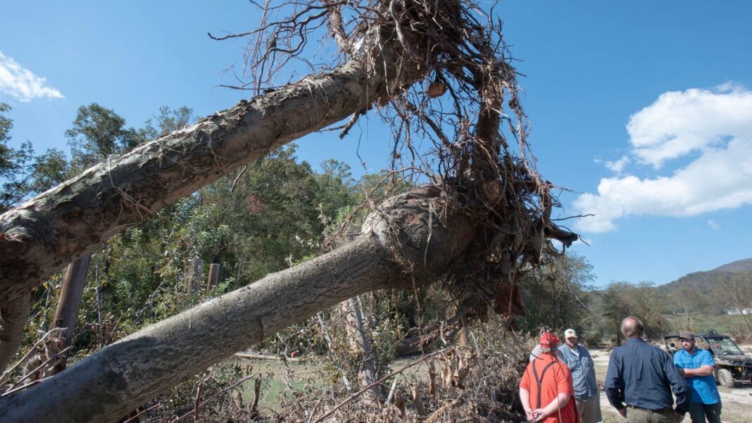 North Carolina farmers hit hard by historic Helene flooding: ‘We just need help’