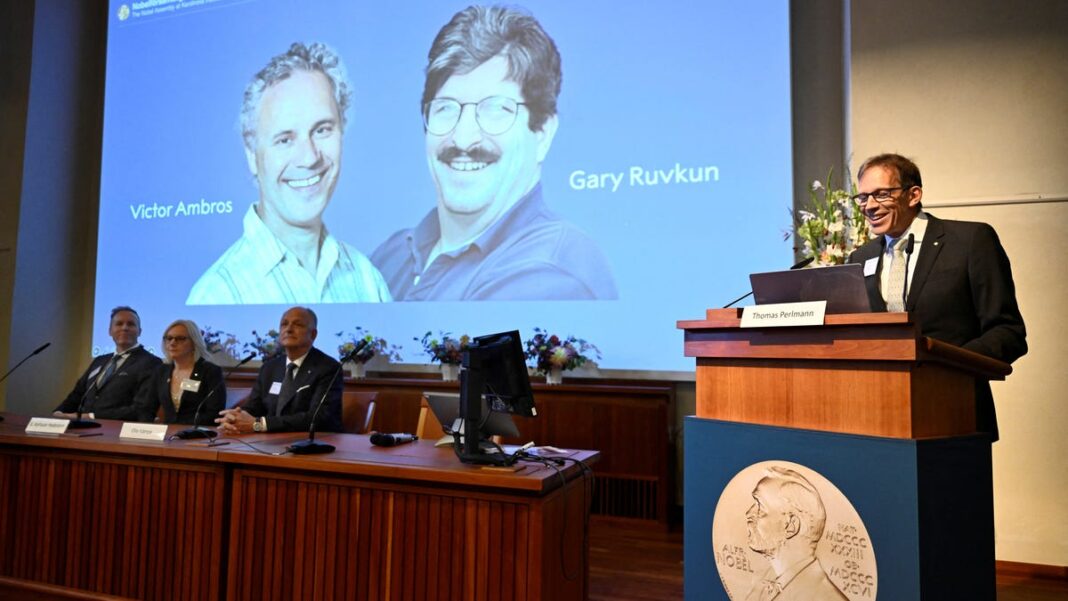 Nobel Prize in Medicine awarded to Americans for microRNA find