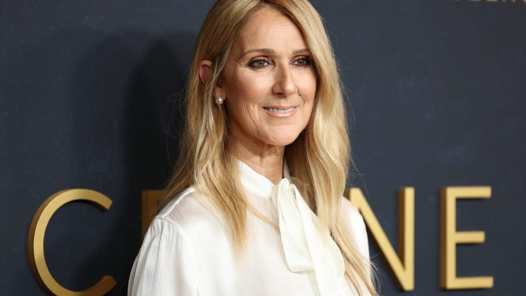 Celine Dion makes rare appearance during Steelers vs Cowboys game promo