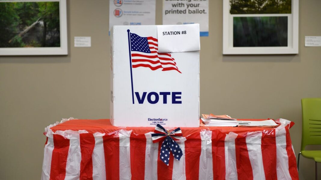 ‘Spectacular’: Georgia reports record turnout as early voting begins in pivotal battleground state