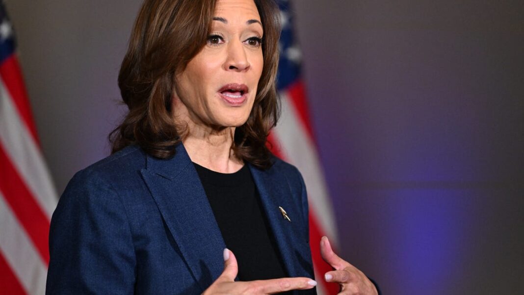 ‘Belittles our country:’ Harris on Trump calling US ‘garbage can of the world’