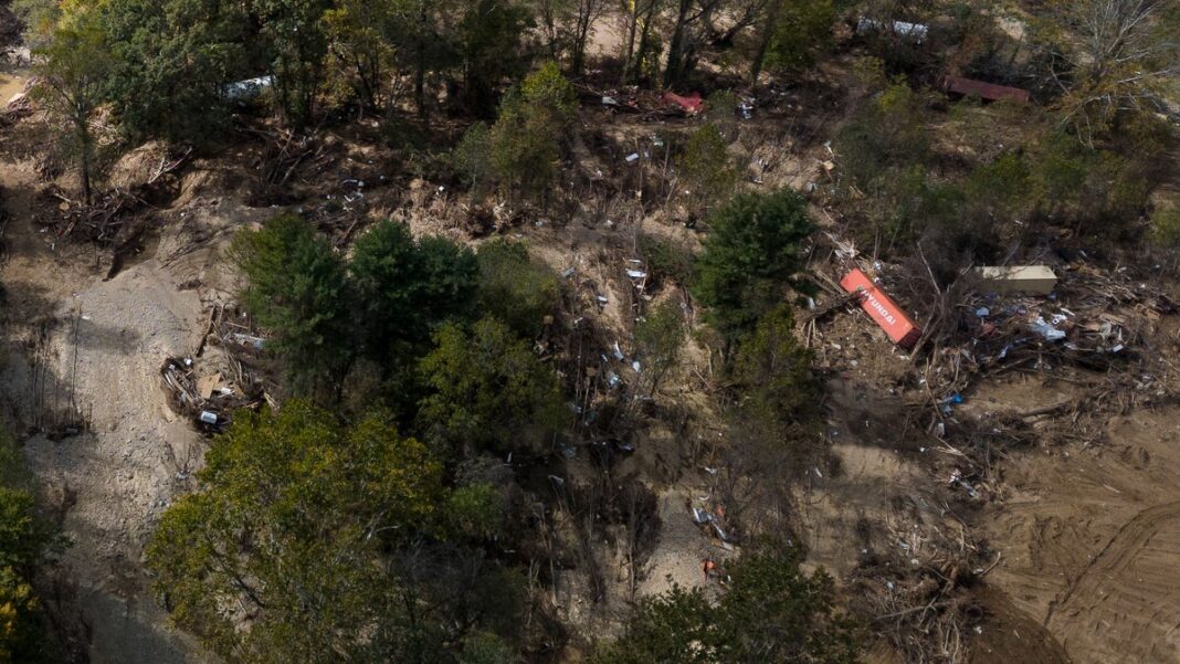 It could take decades for nature to heal from Helene in Western North Carolina