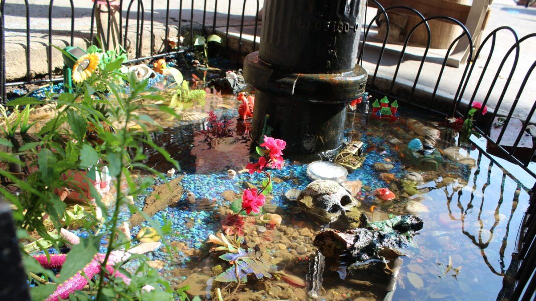 Impromptu Brooklyn ‘aquarium’ paved over by NYC officials