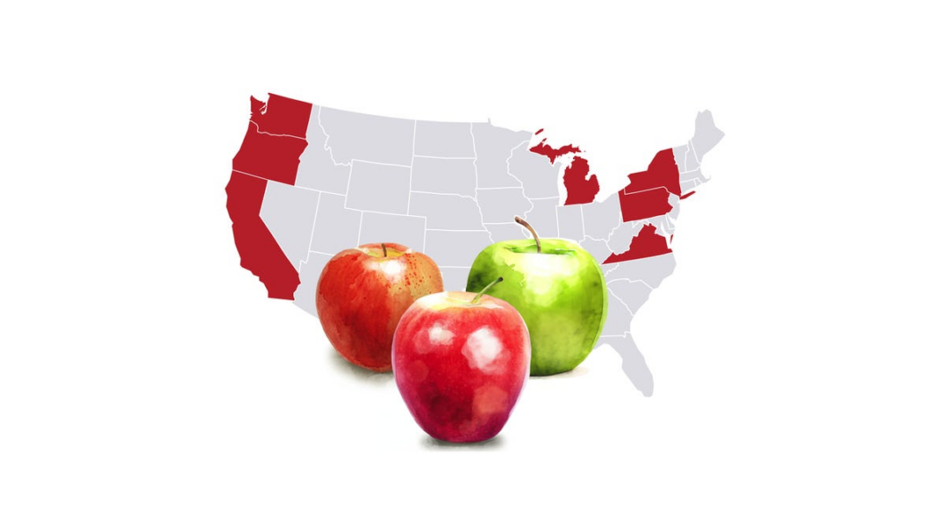 How many varieties of apples are there? A visual guide to apple-picking season