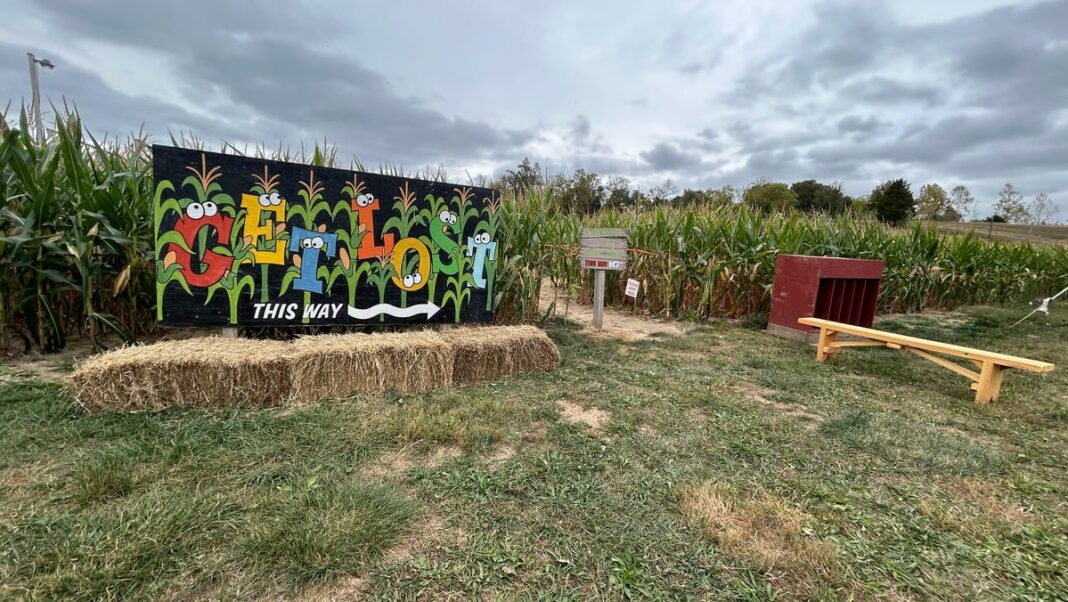 Aw, shucks: An inside look at the great American corn-maze obsession