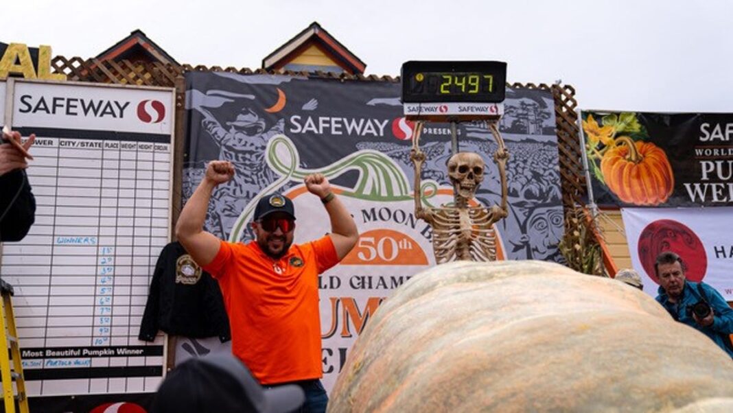 ‘Pumpkins on steroids’: California contest draws gourds the size of a Smart car