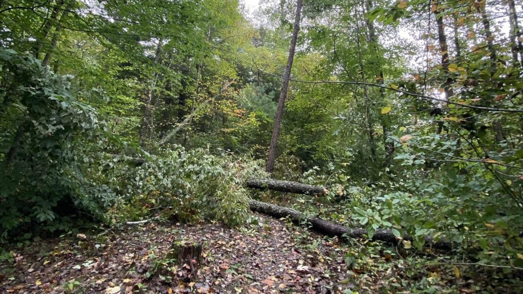 Hikers urged to avoid parts of Appalachian Trail after Helene damage