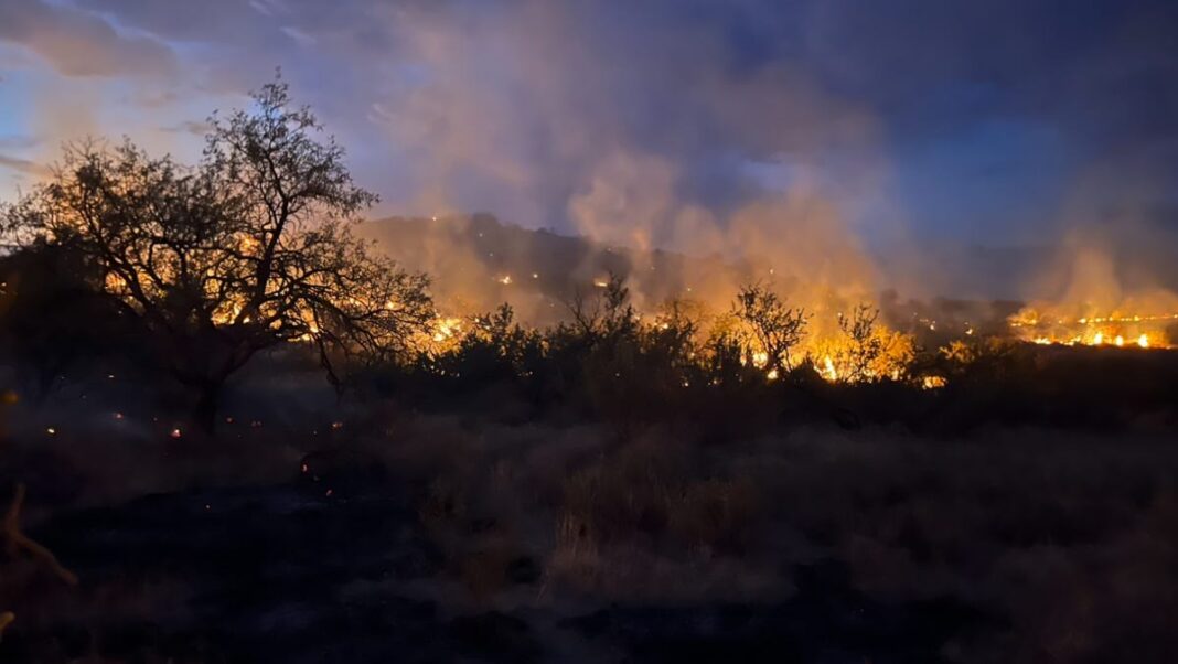 Idaho wildfires burn nearly half a million acres