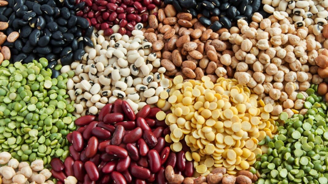 What are legumes? Why nutrition experts love TikTok’s dense bean salad trend