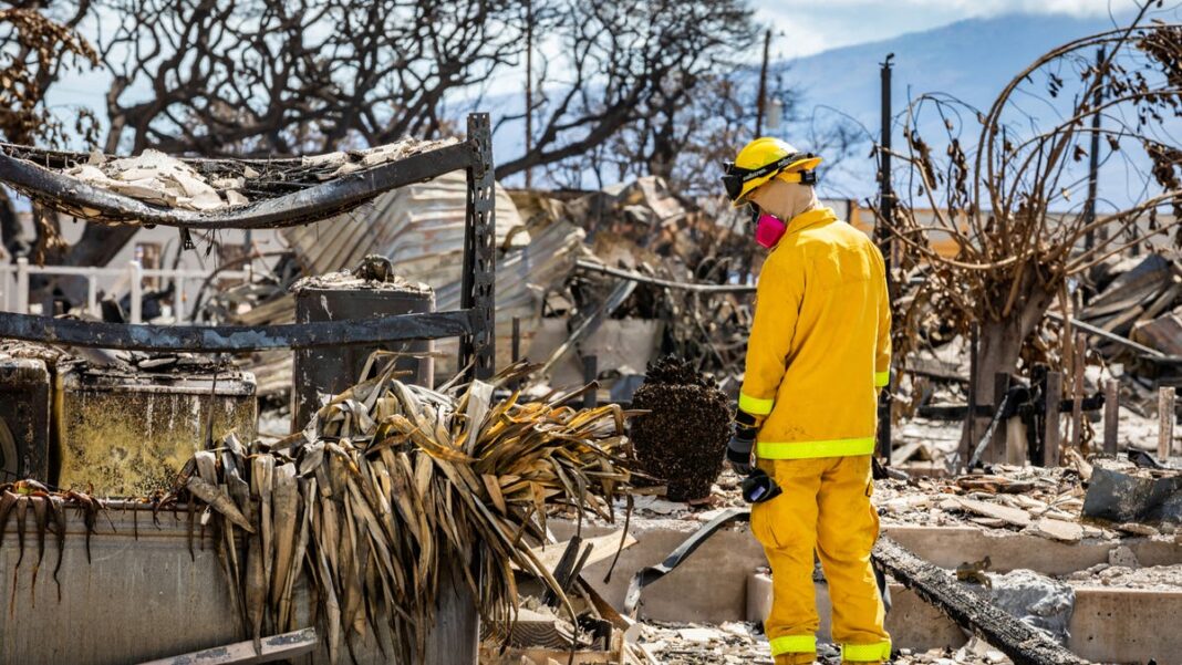 Deadly Maui fire sparked from blaze believed to have been extinguished, report says