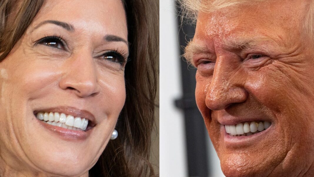 From borders to ‘Handmaid’s Tale’: What scares Trump, Harris voters most in Michigan