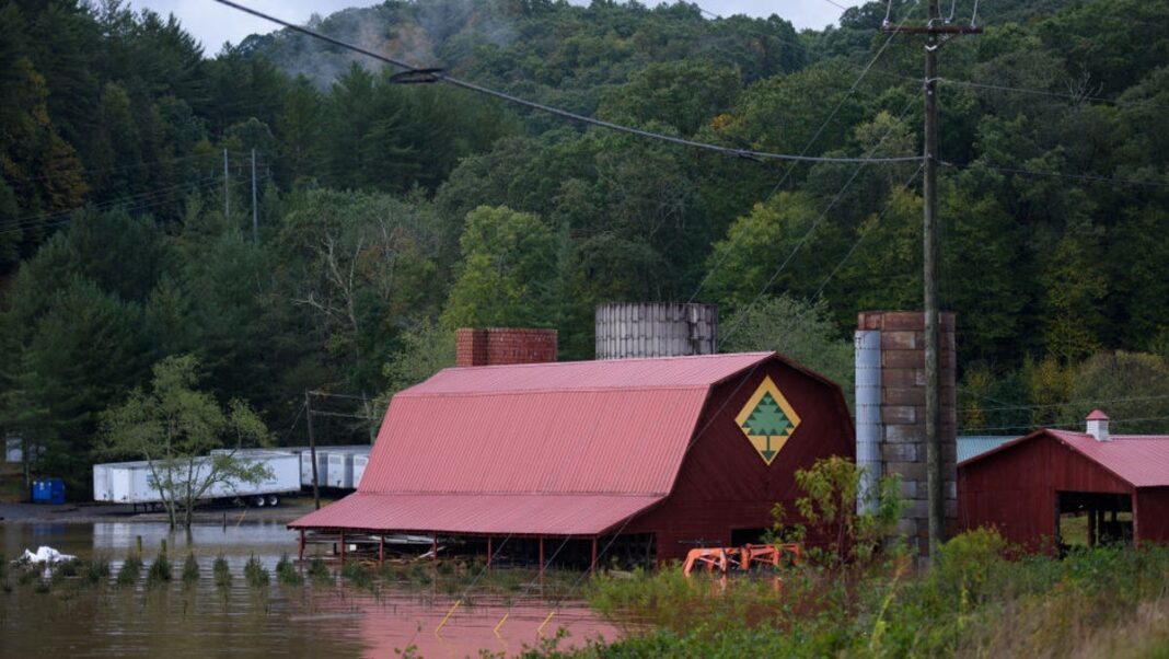 Price gouging, fraud, ID theft: Feds say scammers set sights on Hurricane Helene victims