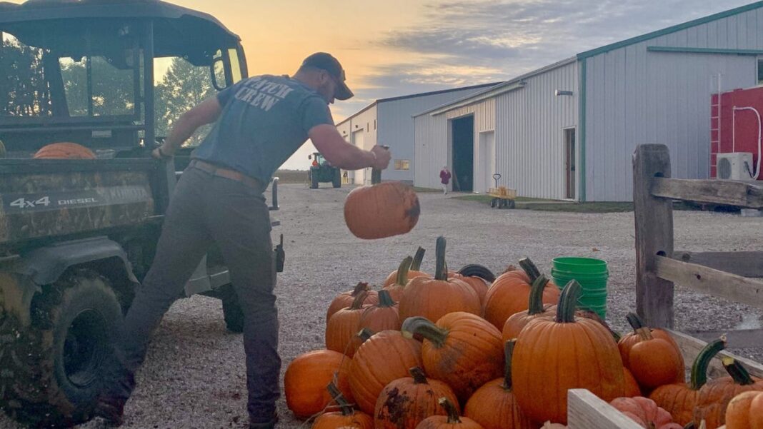 The Pumpkin Spice Tax: To savor the flavor of fall, you will have to pay