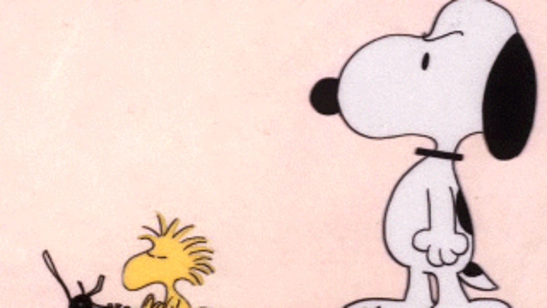 What kind of dog is Snoopy? Here’s some history on Charlie Brown’s canine companion.