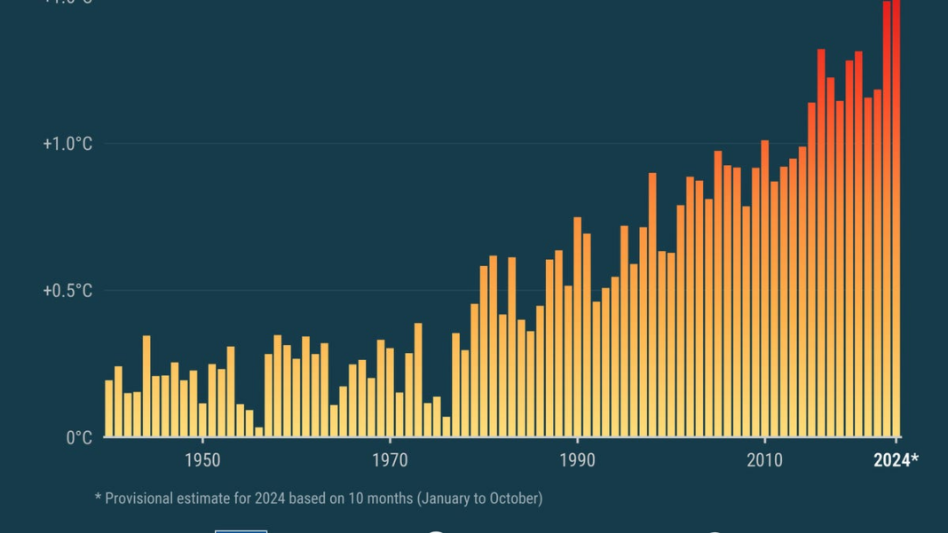 2024 ‘virtually certain’ to be warmest year on record, scientists say