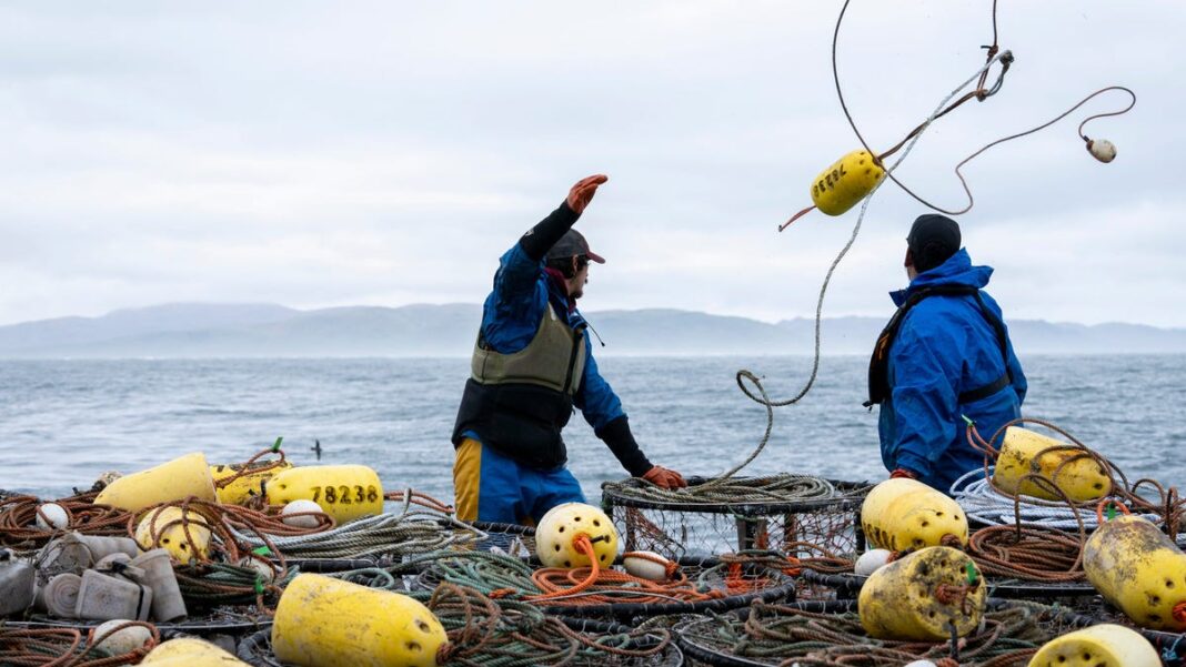 California Crabbers Face Delayed Season Start: Major Impact on Coastal Fishing Industry