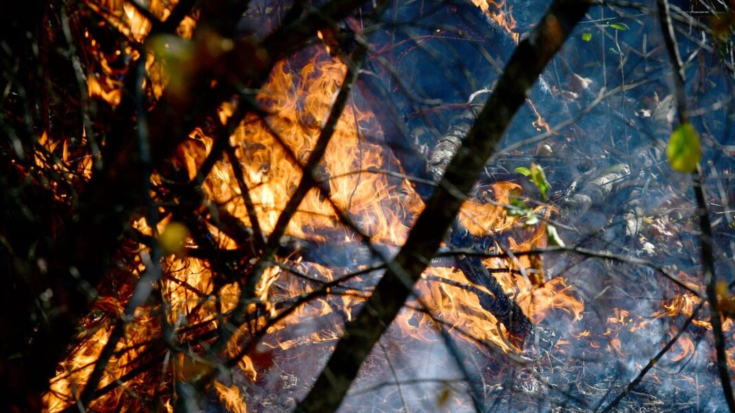 As Massachusetts brush fires rage, suspect arrested for allegedly setting outdoor fire