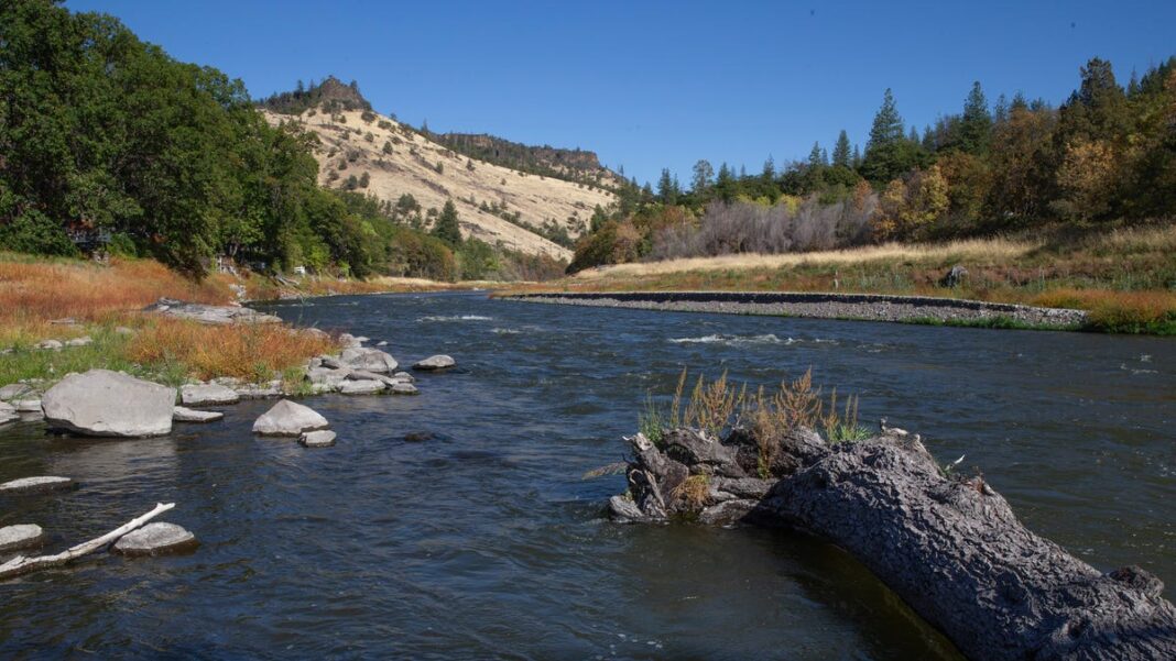 People — and salmon — return to restored Klamath to celebrate removal of 4 dams