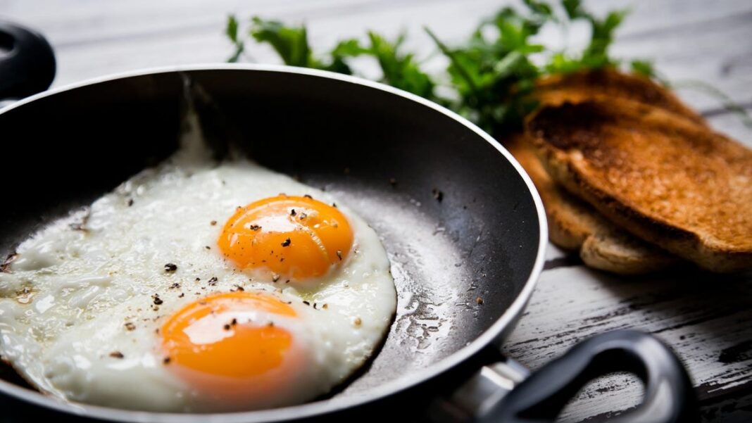 How much protein is in an egg? Answering your breakfast protein questions.