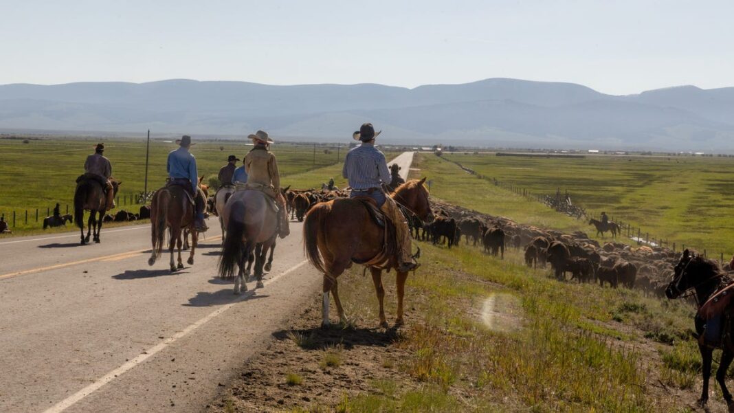 Who plays Beth, Rip, Kayce and Wes in ‘Yellowstone’? See cast members for Season 5, Part 2