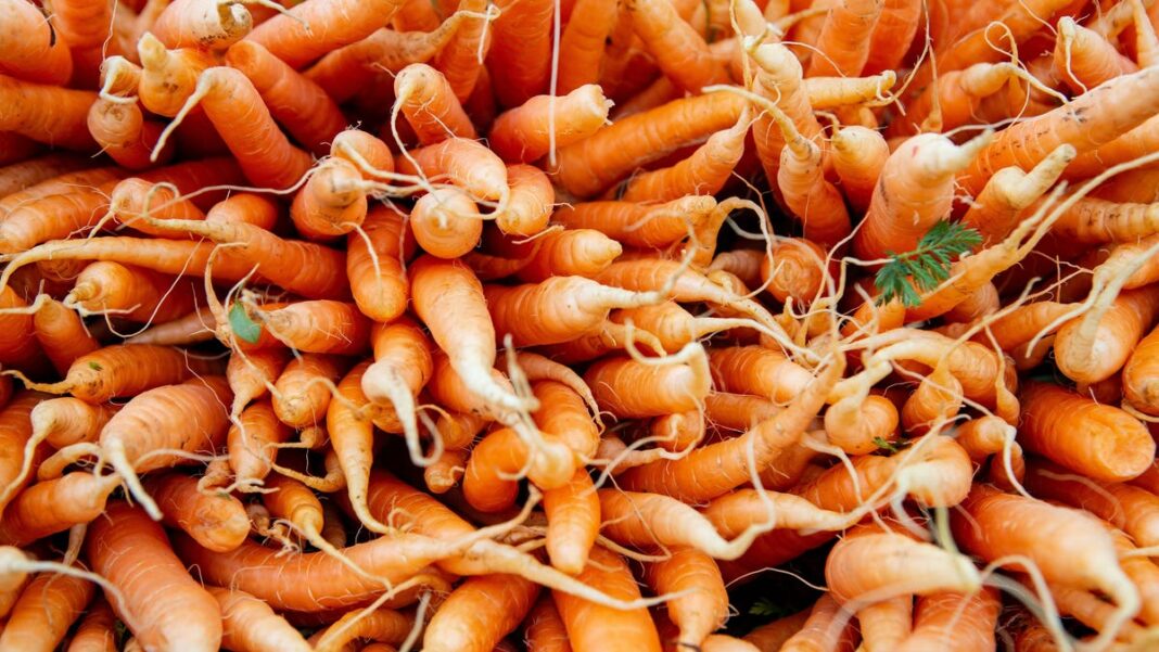 Carrot recall announced in connection to E. coli outbreak: See list of affected products