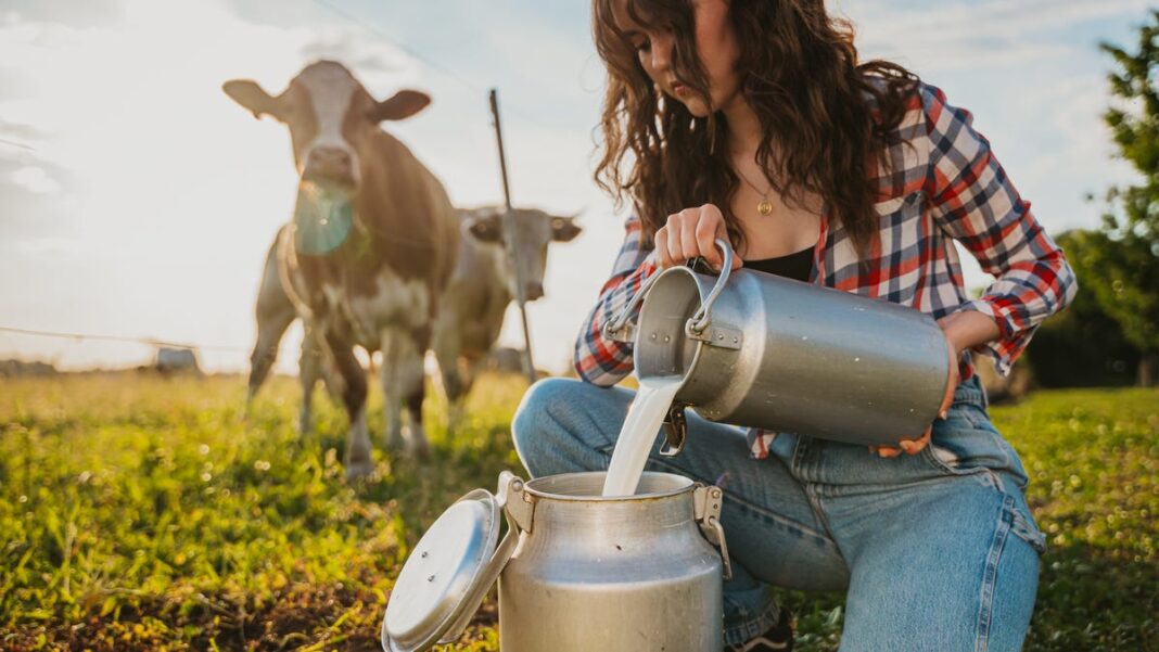 What is raw milk? Health experts weigh in on its safety, nutrition content