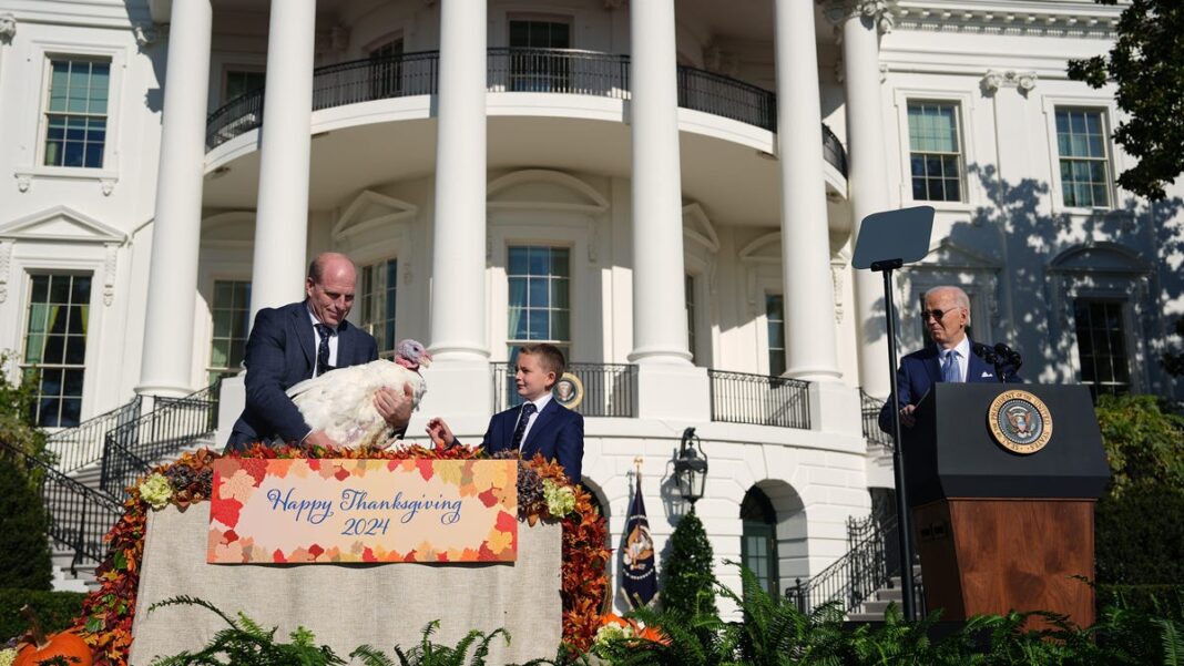 Biden pardons two turkeys before Thanksgiving — his last as president