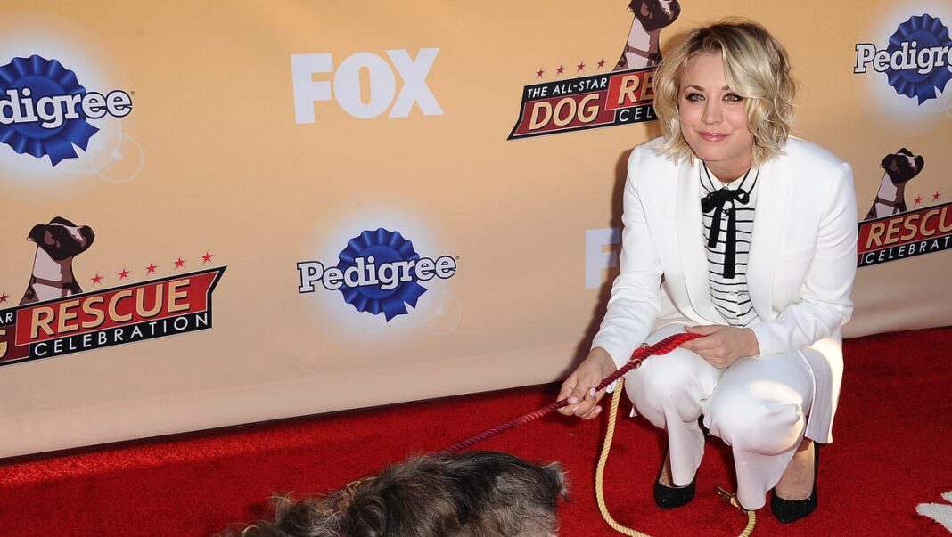 Kaley Cuoco shares ‘excruciating’ decision to rehome dog Shirley