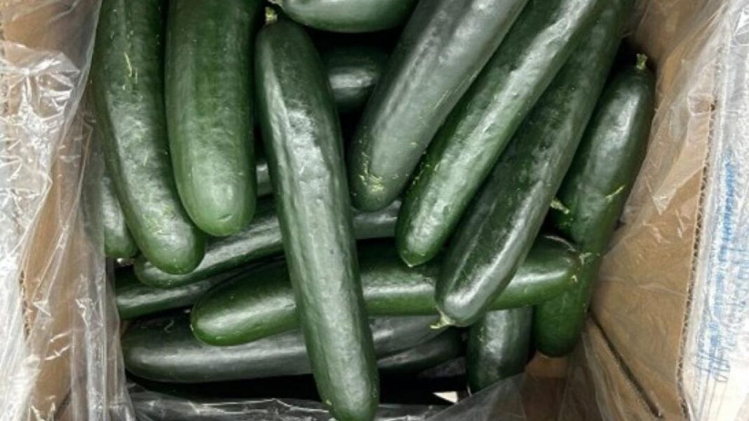 Cucumbers sold in 26 states recalled over salmonella concern; Walmart, Wegmans included in recall