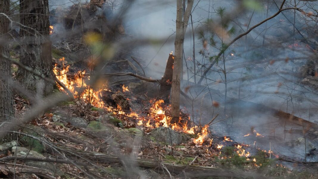 ‘Climate change is real’: New York firefighter killed as historic drought fuels blazes