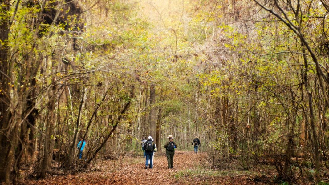 You can visit any of America’s national parks for free on Veterans Day