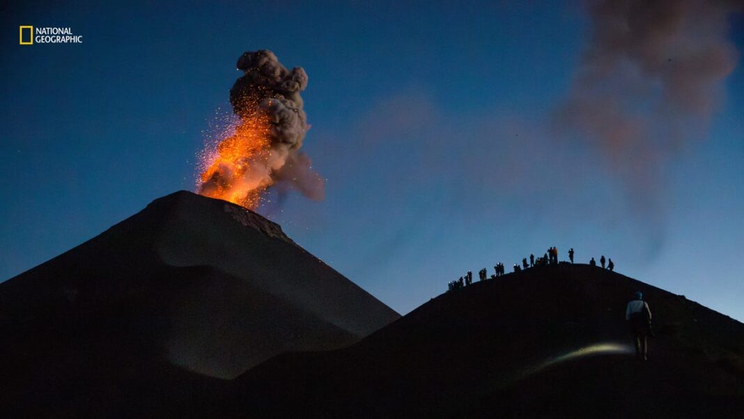 Nat Geo drops stunning photos for 2024 ‘Pictures of the Year’: See the images