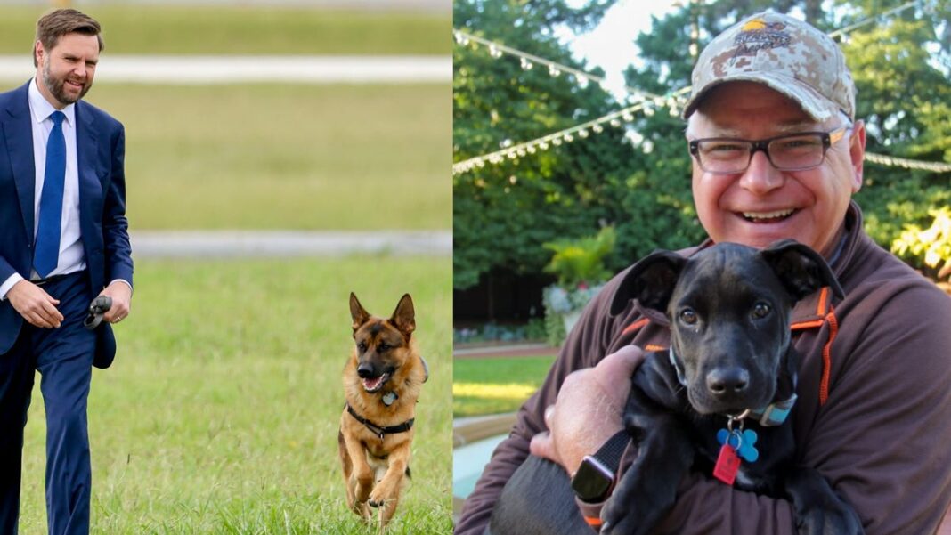 Dogs on the vice-presidential run: Meet the pups of candidates Tim Walz and JD Vance