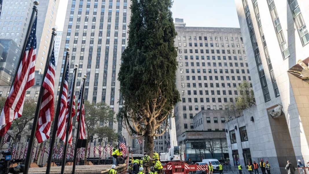 When is the 2024 Rockefeller Christmas tree lighting ceremony? Date, time, how to watch